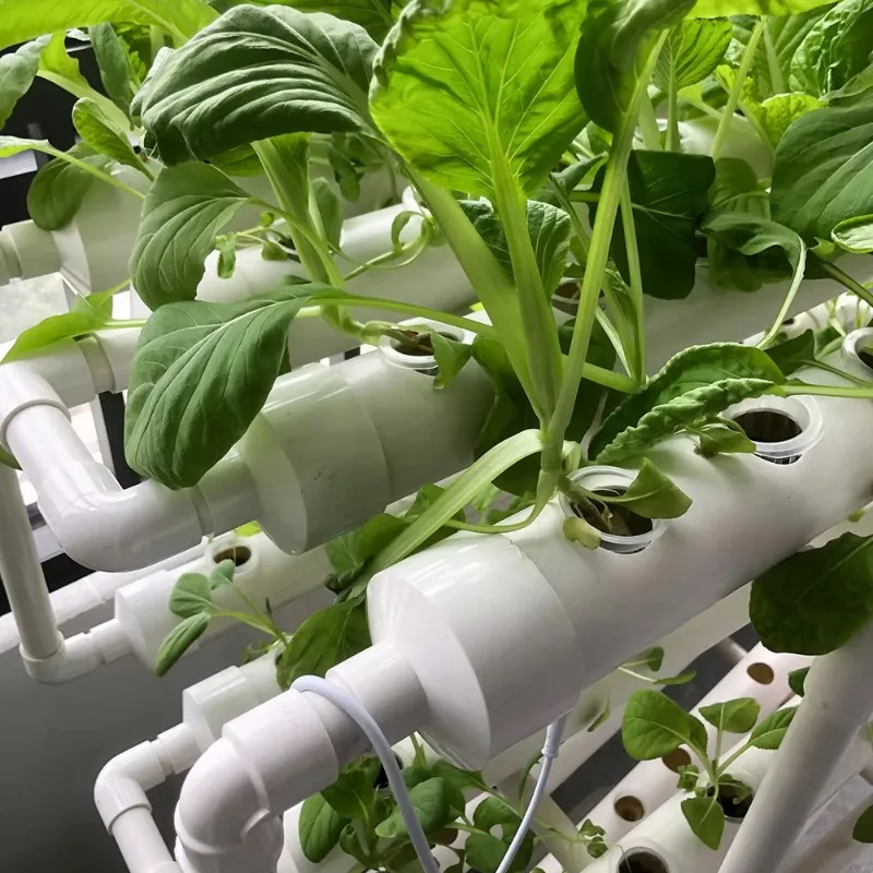 Hydroponic NFT Tube System – V - Urban Farming Vertical のレビューと価格